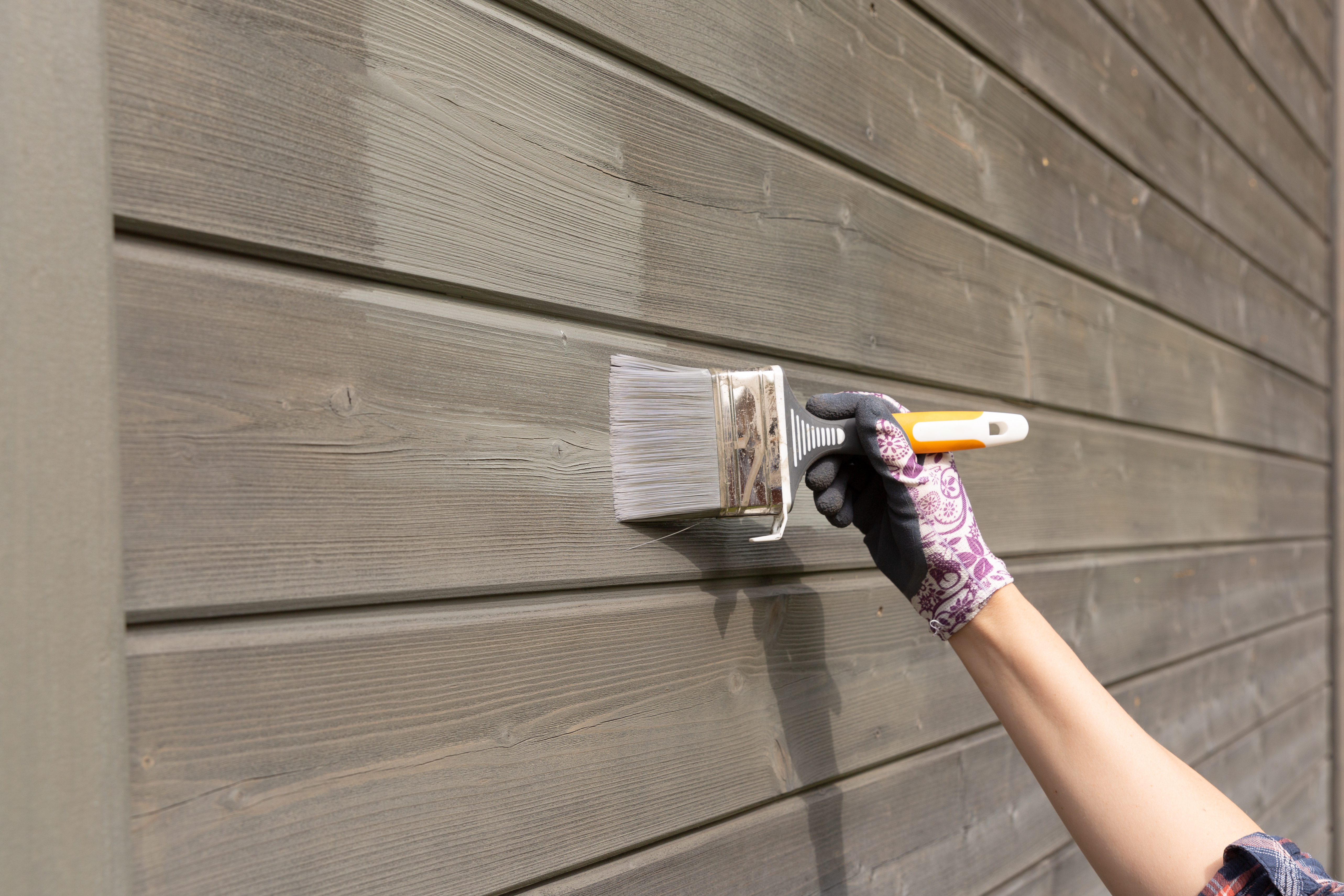 Worker in purple gloves painting wooden siding with a brush